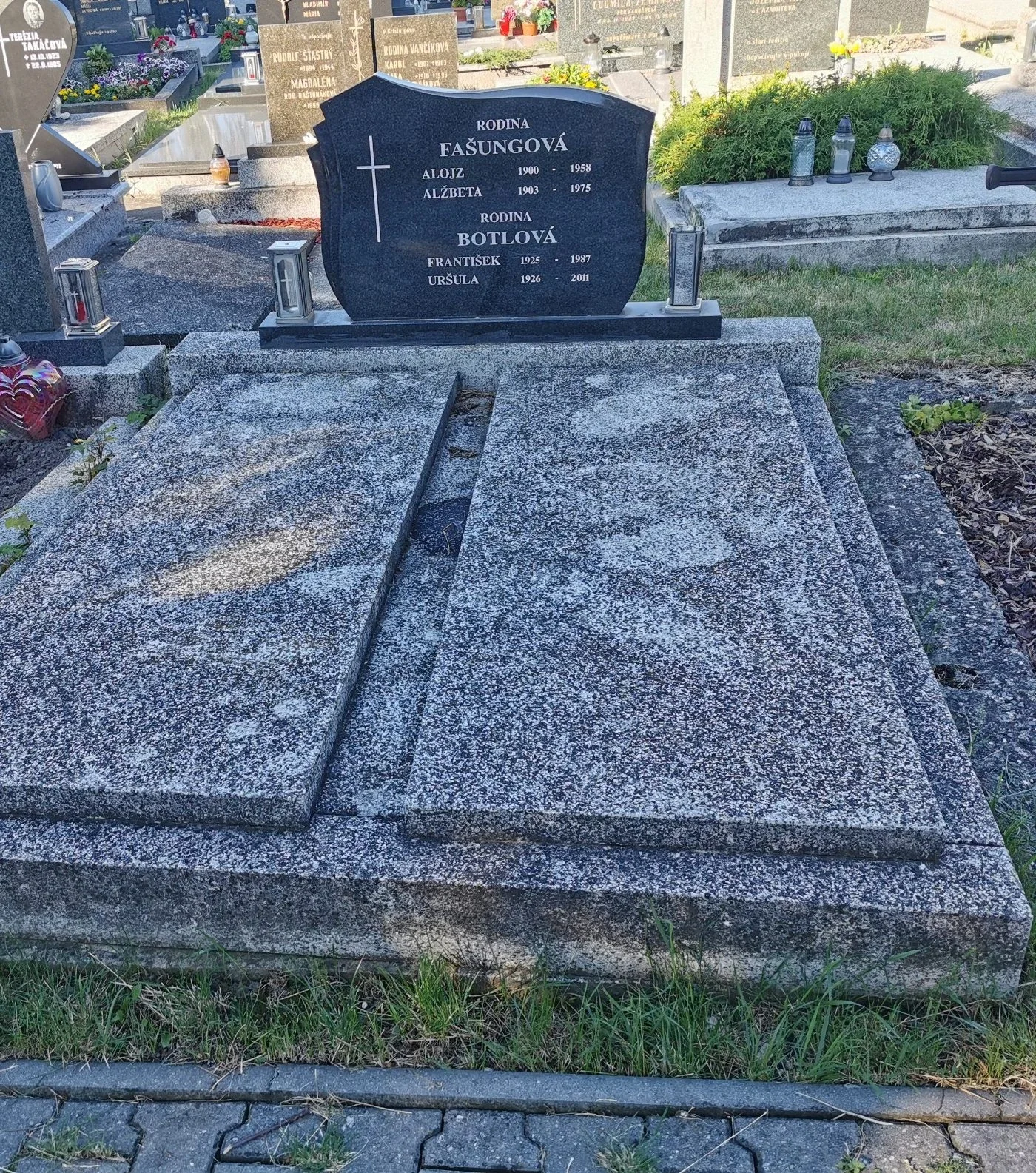 Cintorín Slávičie údolie - pred renováciou