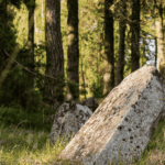 História pohrebníctva - od močiarov až po slovanské tradície