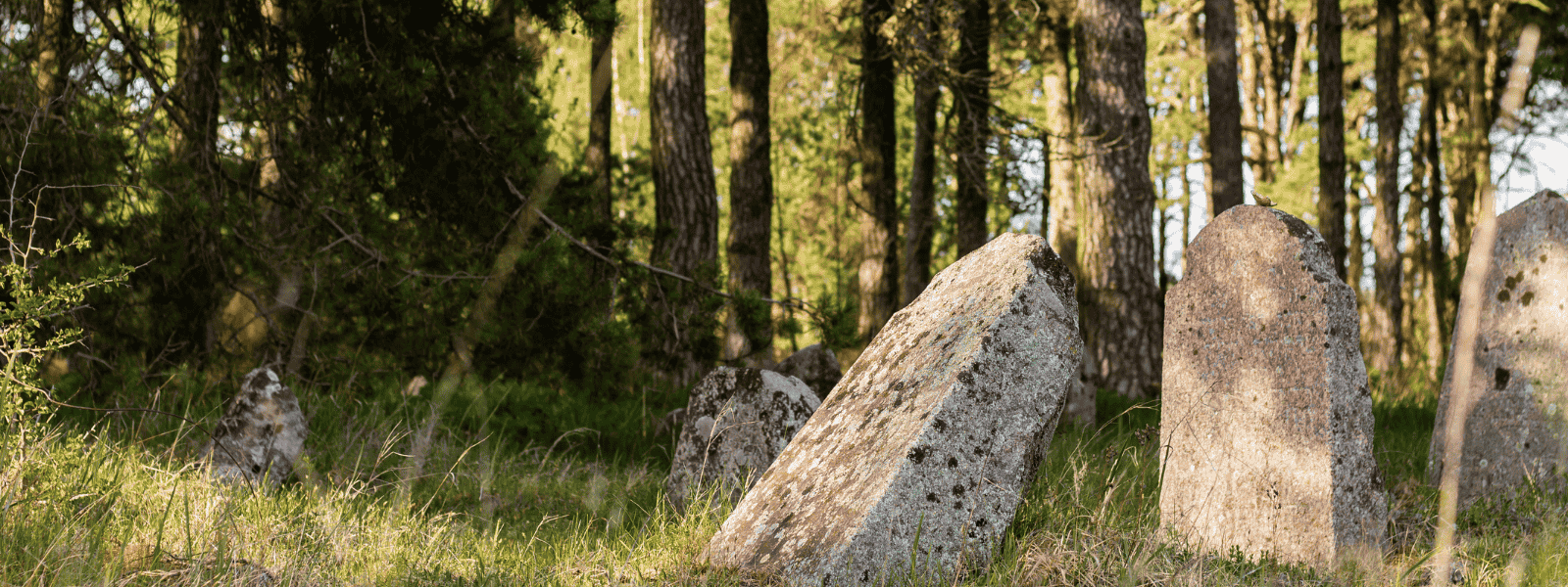 História pohrebníctva - od močiarov až po slovanské tradície